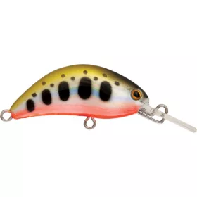 Rapture Pro Hot Bean Area S YMR 4cm 3,5 gr Leurre