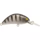 Rapture Pro Hot Bean Area S GSH 3,5gr 4cm Leurre