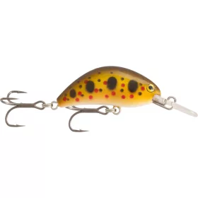 Rapture Pro Hot Bean Area S YDV 3,5gr 4cm Leurre