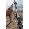 Team Feeder By Döme Big River 300 RXH 100-250g Canne Feeder
