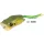 Rapture Popper Grenouille 6cm 15gr Grenouille en caoutchouc anti-herbe
