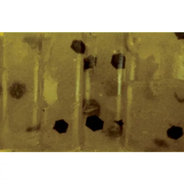 Rapture ULC Alien Craw 2.5cm 0,5gr Pastèque Appât en caoutchouc souple 12 pièces