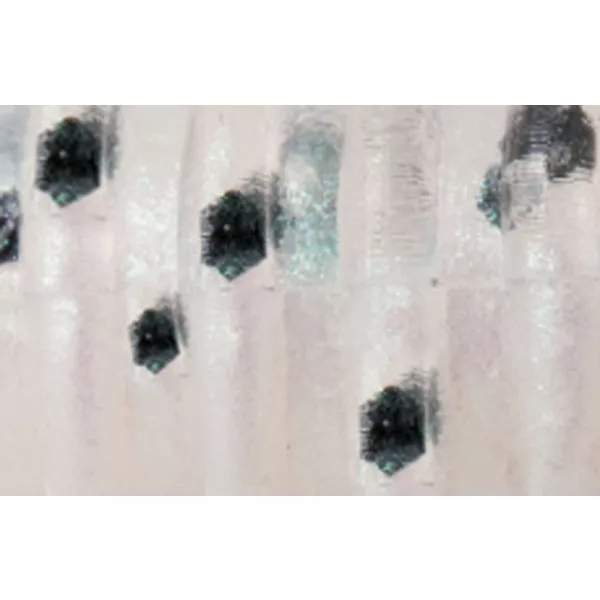 Rapture ULC Alien Craw 2.5cm 0,5gr Bleu perle Appât en caoutchouc souple 12 pièces