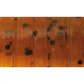   Rapture ULC Cricket 3,3cm 1gr Green Pumpkin BF Leurre en caoutchouc souple 8pcs