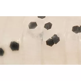   Rapture ULC Hellgrammite 3,3cm 1gr Pearl Blue Leurre souple 8 pièces