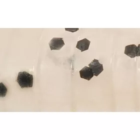   Rapture ULC Water Shrimp 6,2cm 1gr Pearl Blue Leurre souple 8 pièces