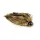 Rapture Quick Jig WT/C 10gr 2/0 Leurre Spécial