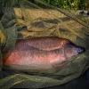 Carp Academy Specialist Tête d'épuisette Carpe 100x100cm avec oreille de mesure