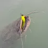 Reiva Ultra Strong Jig Head 28gr 6/0 Jigfej 3db