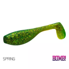 Delphin FATTY Leurre souple SPRING 100mm - 5db
