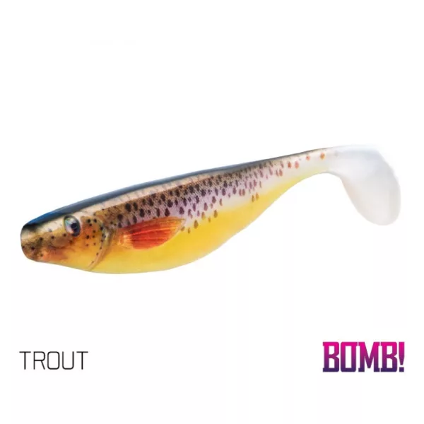 Delphin HYPNO Leurre souple 3D TROUT 170mm - 2 pièces