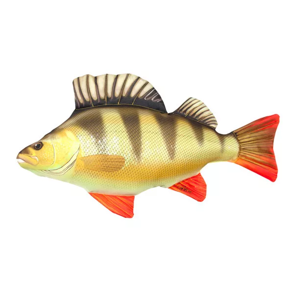 Coussin de Poisson Perche