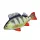 Coussin de Poisson Perche Bébé