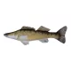 Coussin de Poisson Sandre