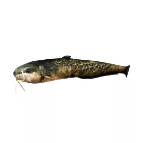 Coussin Poisson Silure Bébé