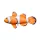 Coussin Poisson Nemo