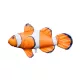 Coussin Poisson Nemo