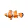 Coussin Poisson Nemo Bébé