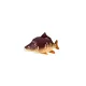 Coussin de Poisson Carpe Bébé