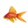 Coussin poisson Poisson rouge
