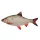 Coussin Poisson Gardon Mini