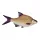 Coussin de Poisson Brème 34Cm