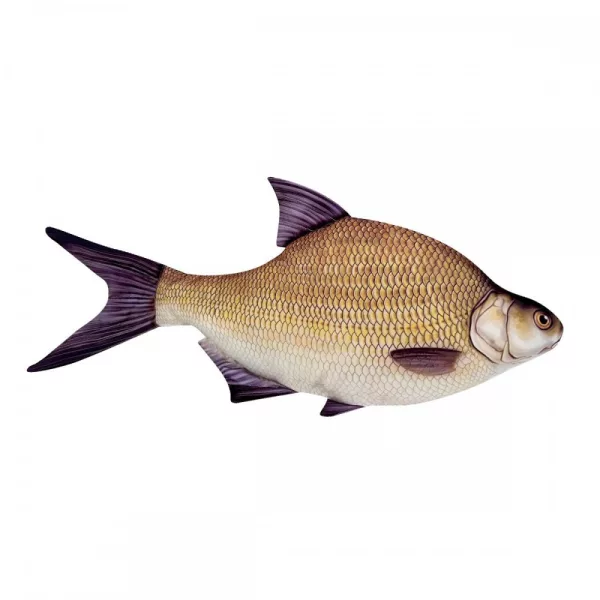 Coussin de Poisson Brème 34Cm