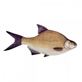 Coussin de Poisson Brème 70Cm