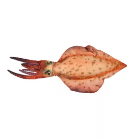 EnergoTeam Coussin Poisson Calmar 76cm