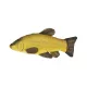 EnergoTeam Coussin Poisson Tanche 60cm