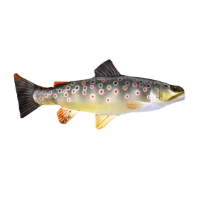 Oreiller La petite truite brune 36cm Coussin truite