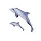 EnergoTeam Le Grand Dauphin Gris 125cm Coussin Poisson
