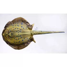   EnergoTeam La Raie Pastenague &agrave; Pois Bleus 85cm Coussin Poisson