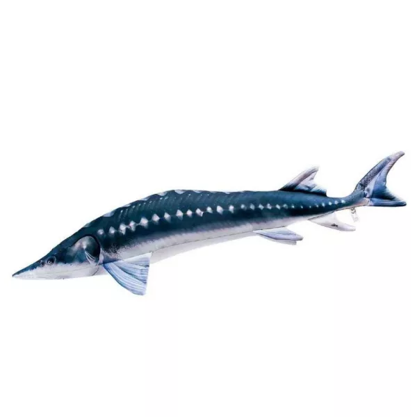 EnergoTeam L'Esturgeon Europ&eacute;en Monster 200cm Coussin Poisson