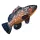 EnergoTeam The Dusky Grouper 100cm Coussin de poisson