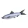 EnergoTeam Le Coussin de Poisson Harengs-Sardines 37cm