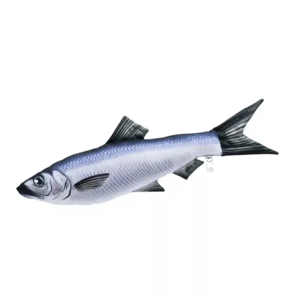 EnergoTeam Le Coussin de Poisson Harengs-Sardines 37cm