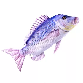 EnergoTeam The Dentex 80cm Coussin de poisson