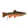 EnergoTeam The Brook Trout 62cm Oreiller Poisson