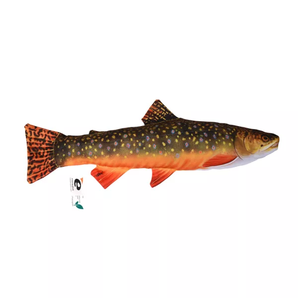 EnergoTeam Truite 35cm Oreiller Poisson