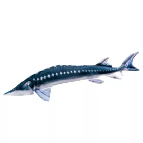 EnergoTeam The European Sturgeon 36cm Oreiller de poisson