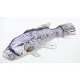EnergoTeam The Dhufish 80cm Oreiller de poisson