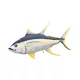 EnergoTeam The Monster Thon Jaune 160cm Coussin de Poisson