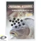 Perles en caoutchouc ET 3Mm