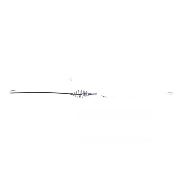 Montage de fond à deux hameçons 25G