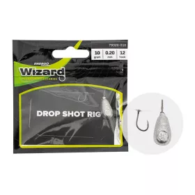   Wizard DROPSHOT LEADER HEAVY 20G 0.25 HAMEÇON 4 Montage Dropshot