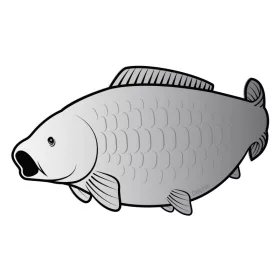 Delphin Autocollant carpe SILVER
