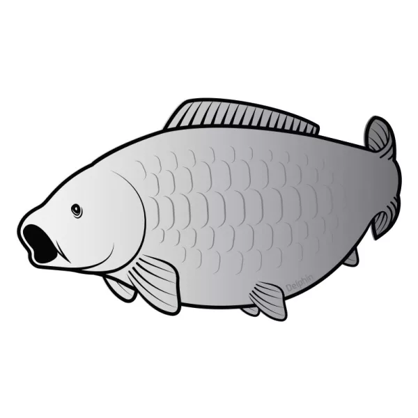 Delphin Autocollant carpe SILVER