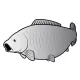 Delphin Autocollant carpe SILVER