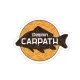 Autocollant Delphin CARPATH 95x75mm